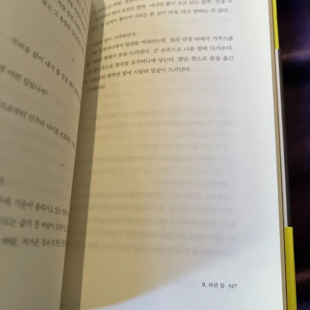 The Wind is Blowing By Han Kang Novel 바람이 분다, 가라 한강 Nobel Prize 2024 Korean 한국어